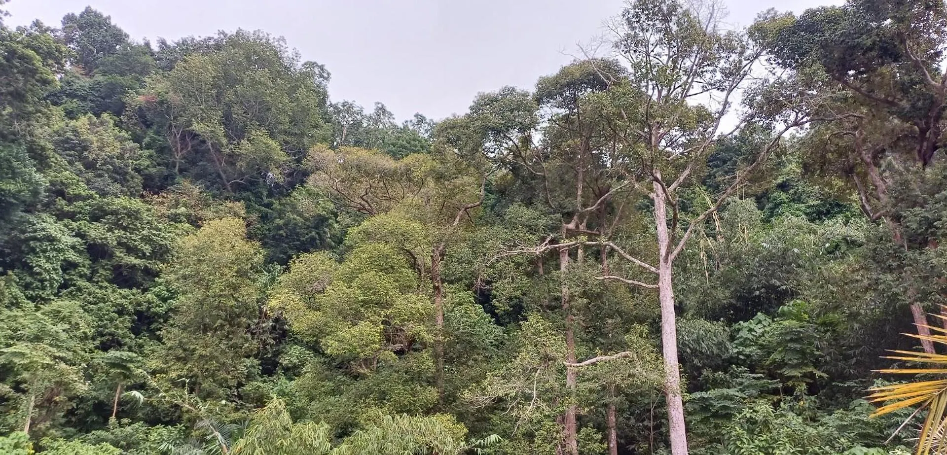 Hillside Salamat Koh Lanta 0*,